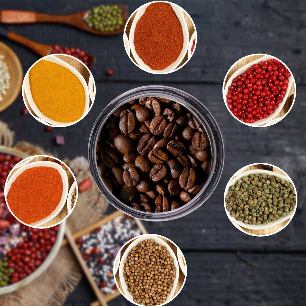 RAF Electric Masala Grinder – Coffee, Spice & Dry/Wet Grinder