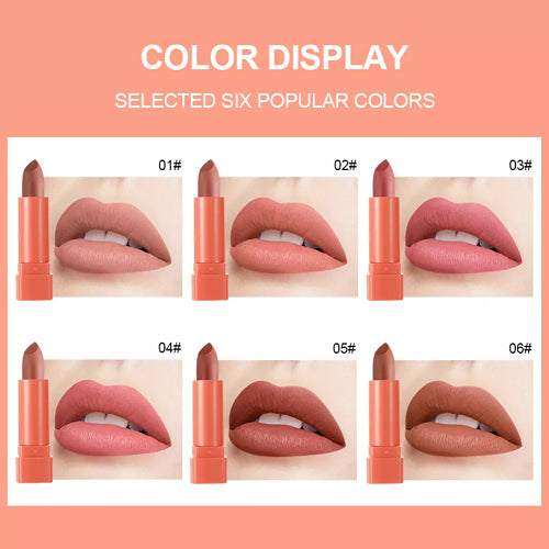 6PCS Matte Brown Velvet Lipstick Set